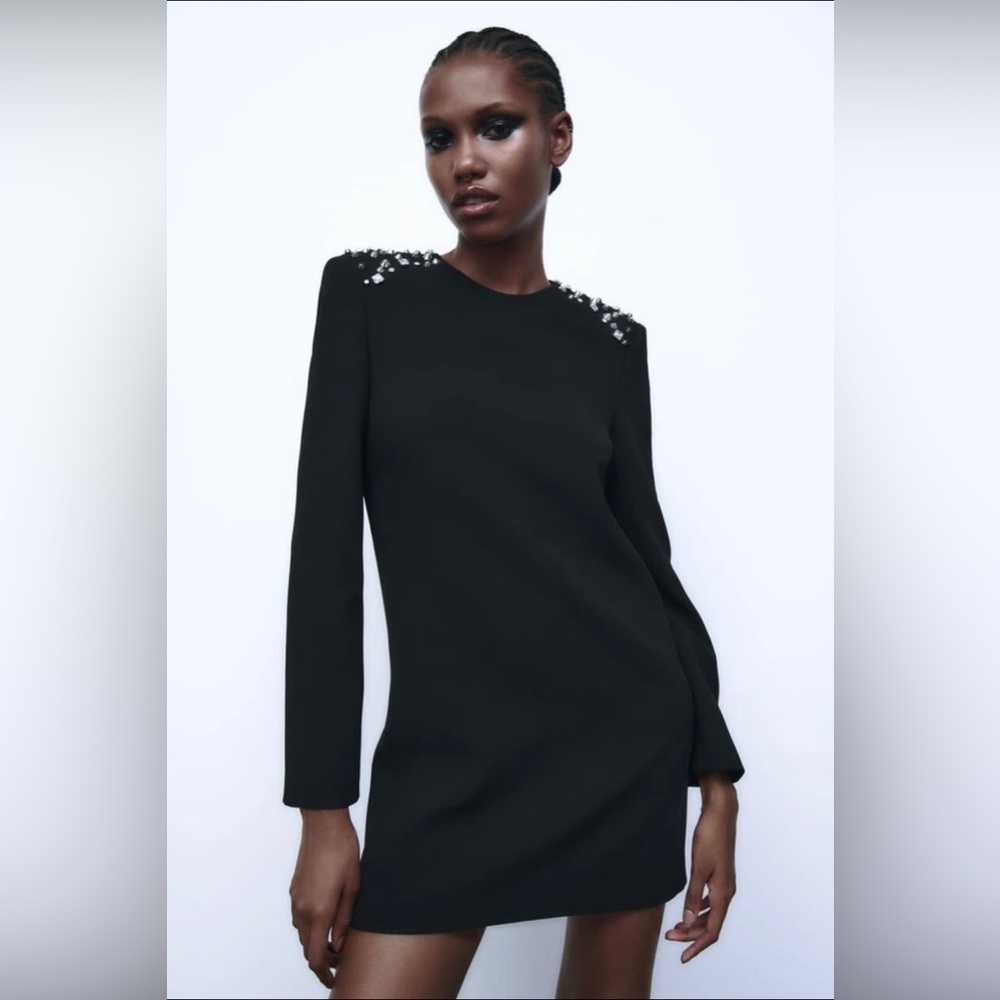 NWT ZARA STUDDED MINI DRESS S $149